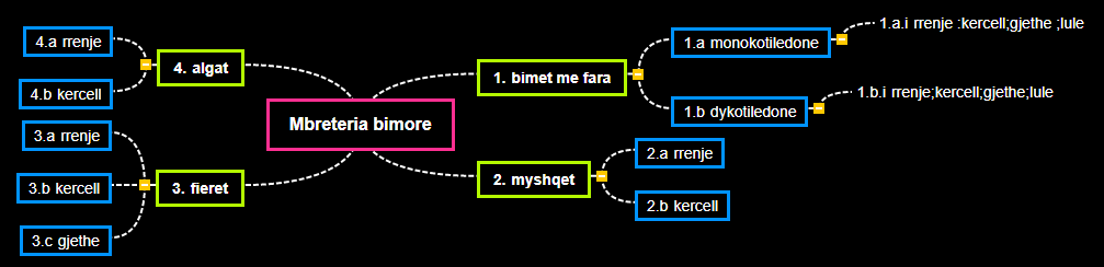 Mbreteria bimore1 Mind Map