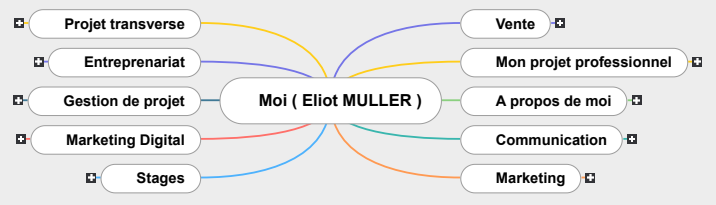 Portfolio Eliot Muller Mind Maps