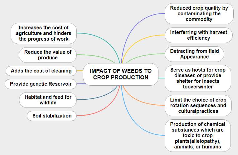 IMPACT OF WEEDS TO CROP PRODUCTION1 Mind Map