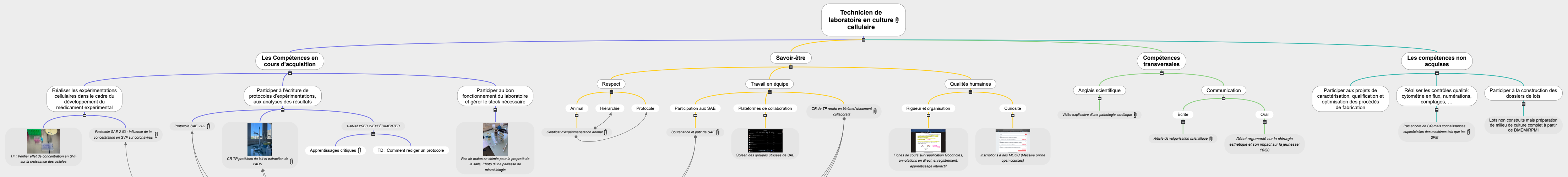 Technicien de laboratoire en culture cellulaire Mind Maps