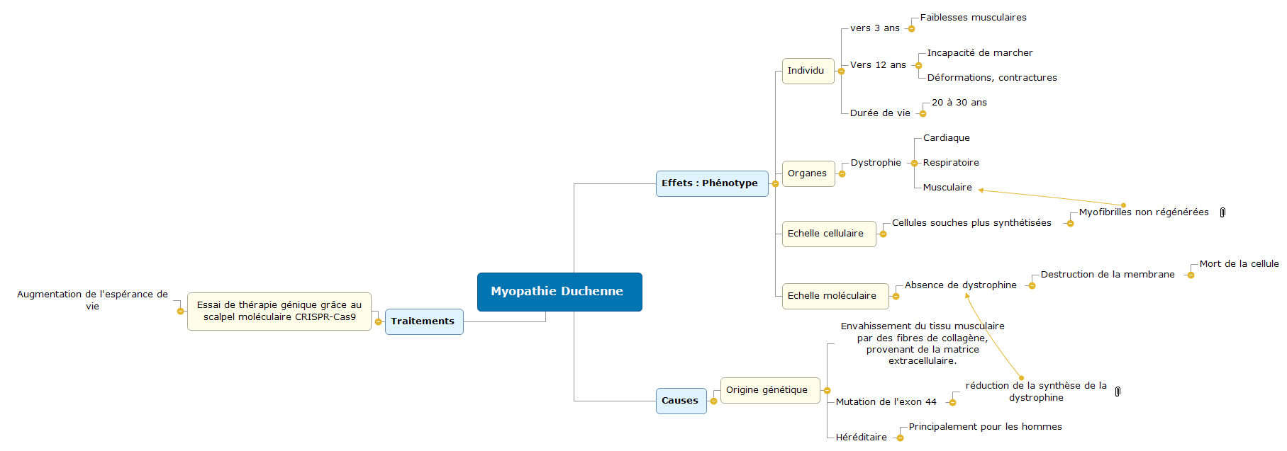 Myopathie Duchenne1 Mind Maps