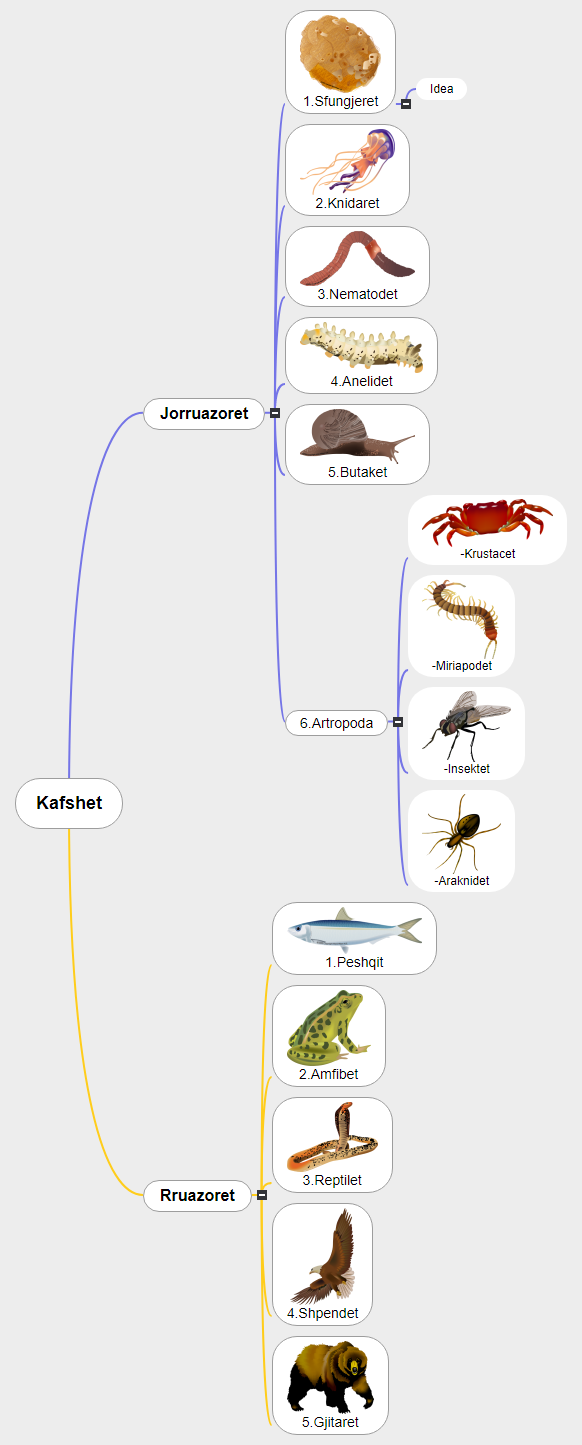 Kafshet1 Mind Map