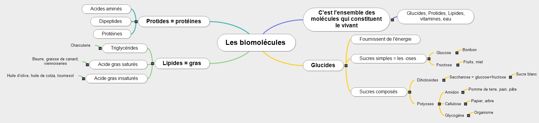 Les biomolécules Mind Maps