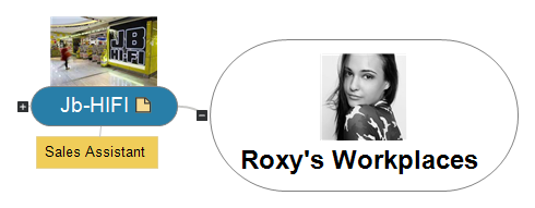 Roxy's Workplaces Mind Map