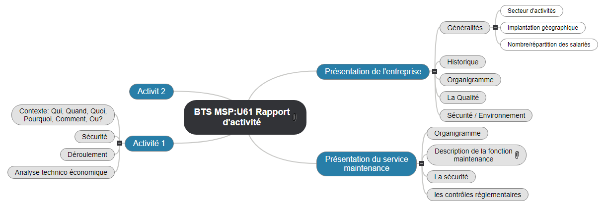 BTS MSP_U61 Rapport d'activité1 Mind Maps