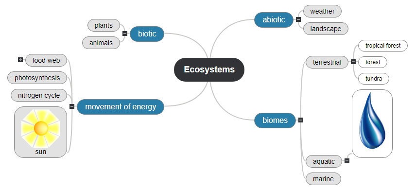 Ecosystems Mind Map