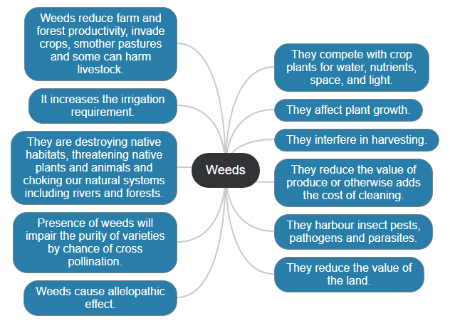 Weeds1 Mind Map