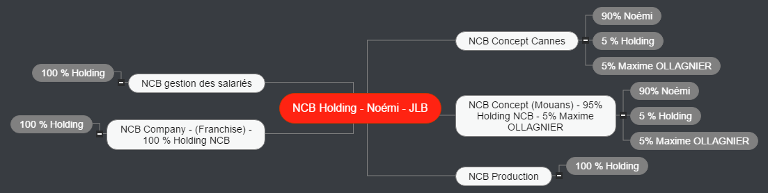 NCB Holding -  Noémi - JLB Mind Maps