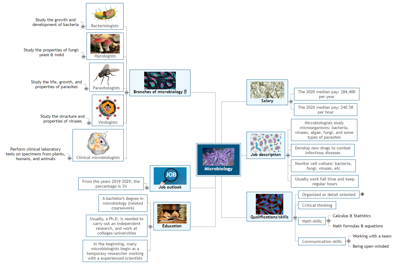 Microbiology Mind Map