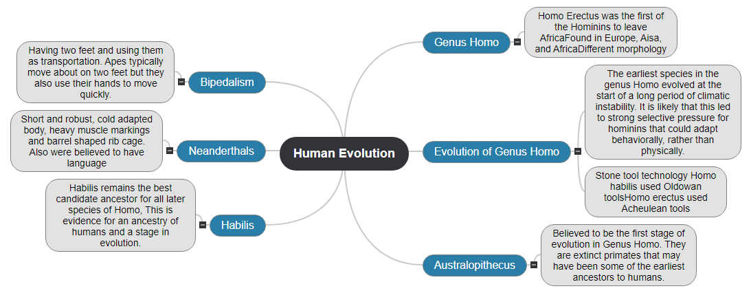 Human Evolution Mind Map
