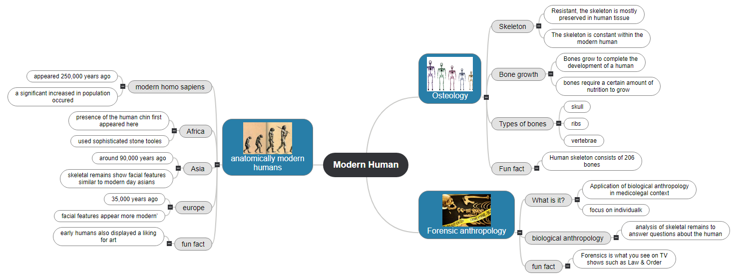 Modern Human Mind Map