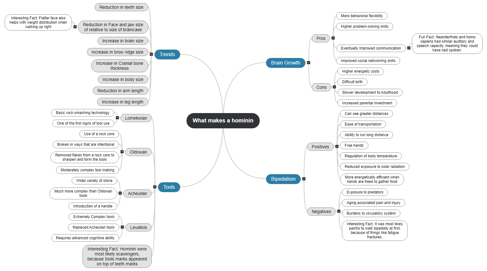What makes a hominin Mind Map