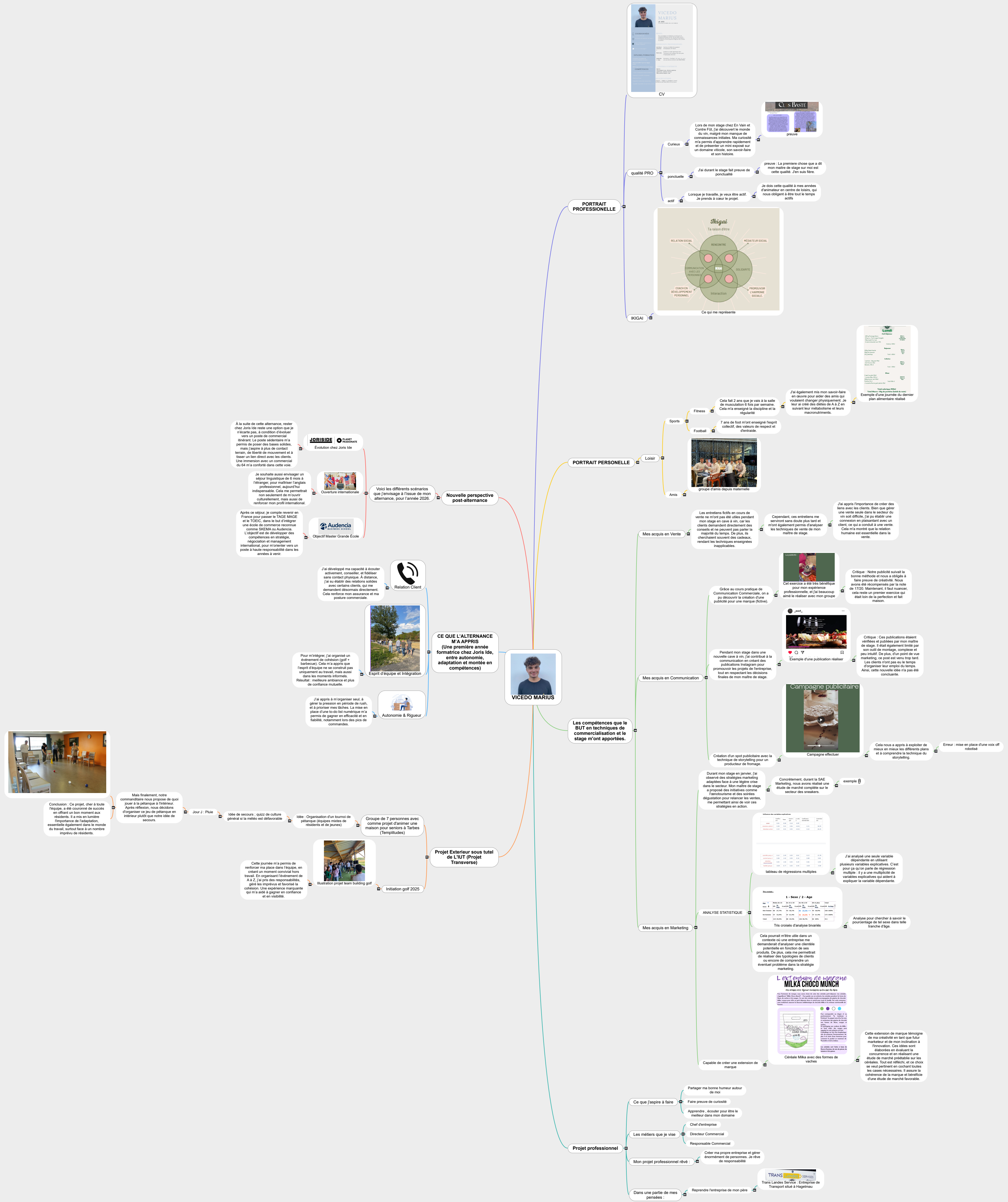 MARIUS VICEDO PORTFOLIO Mind Maps