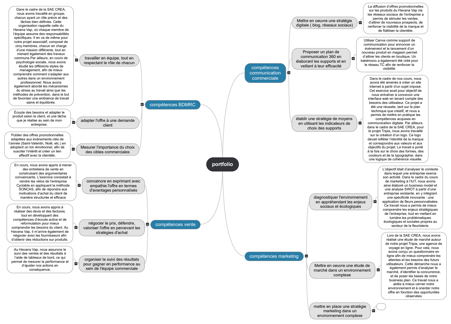 portfolio1 Mind Maps
