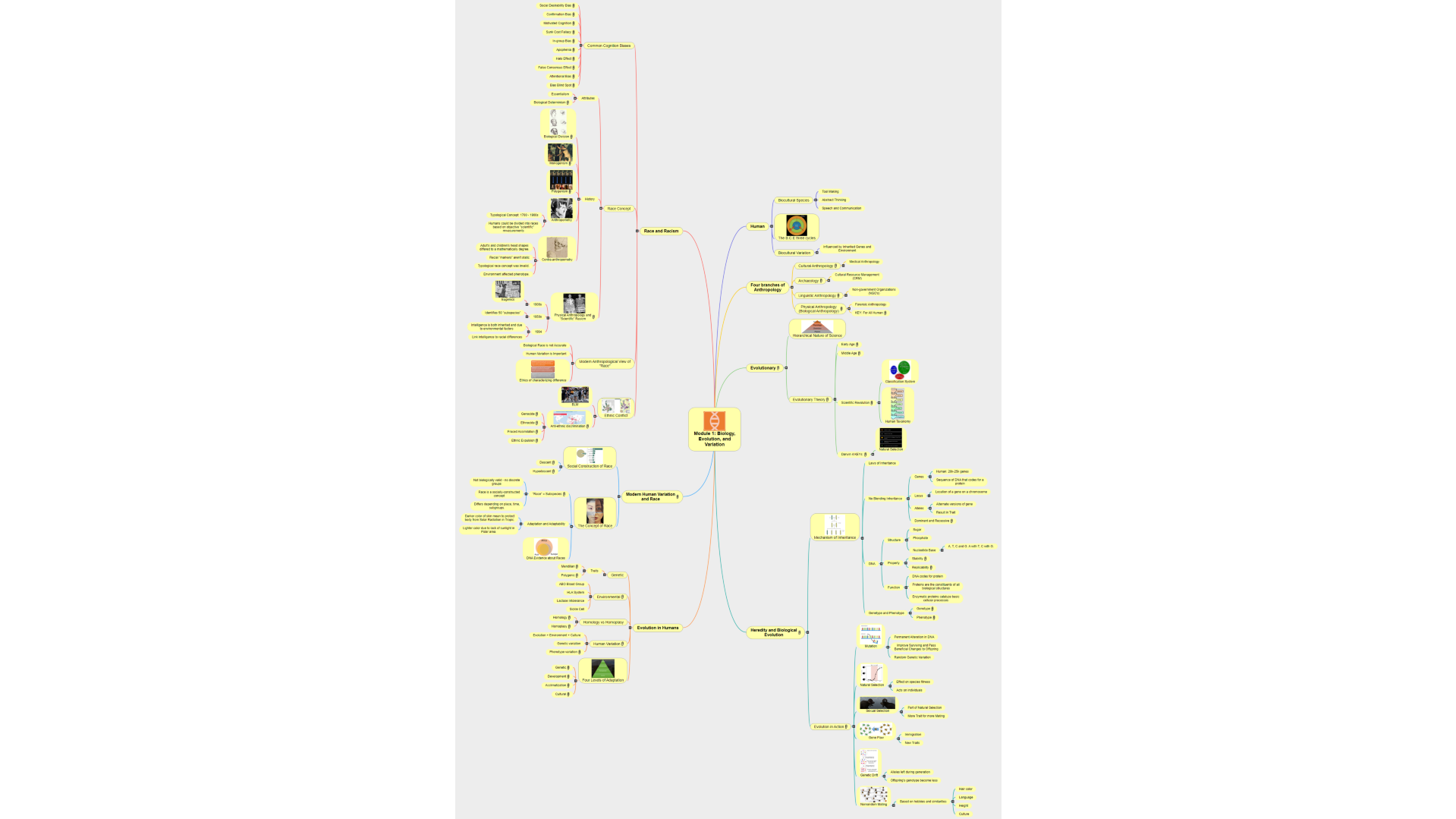 Visual Study Guide 1 Mind Map