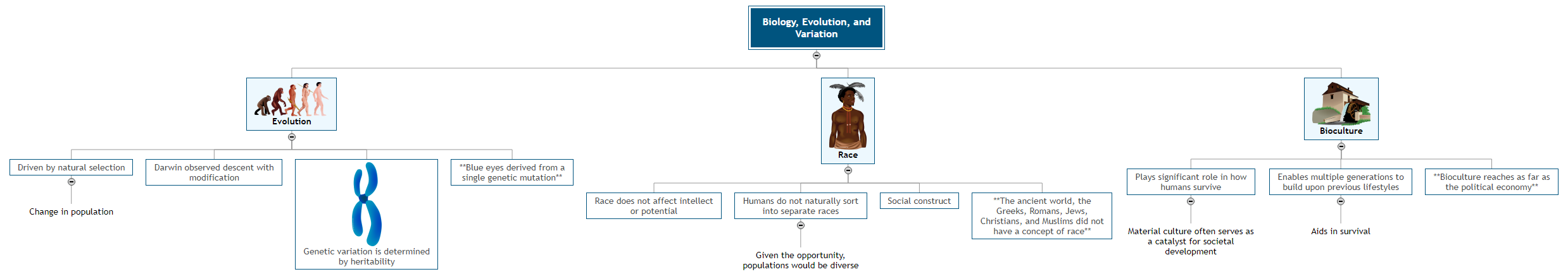 Biology, Evolution, and Variation Mind Map