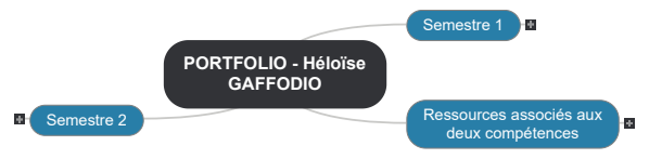 PORTFOLIO - Héloïse GAFFODIO1 Mind Maps