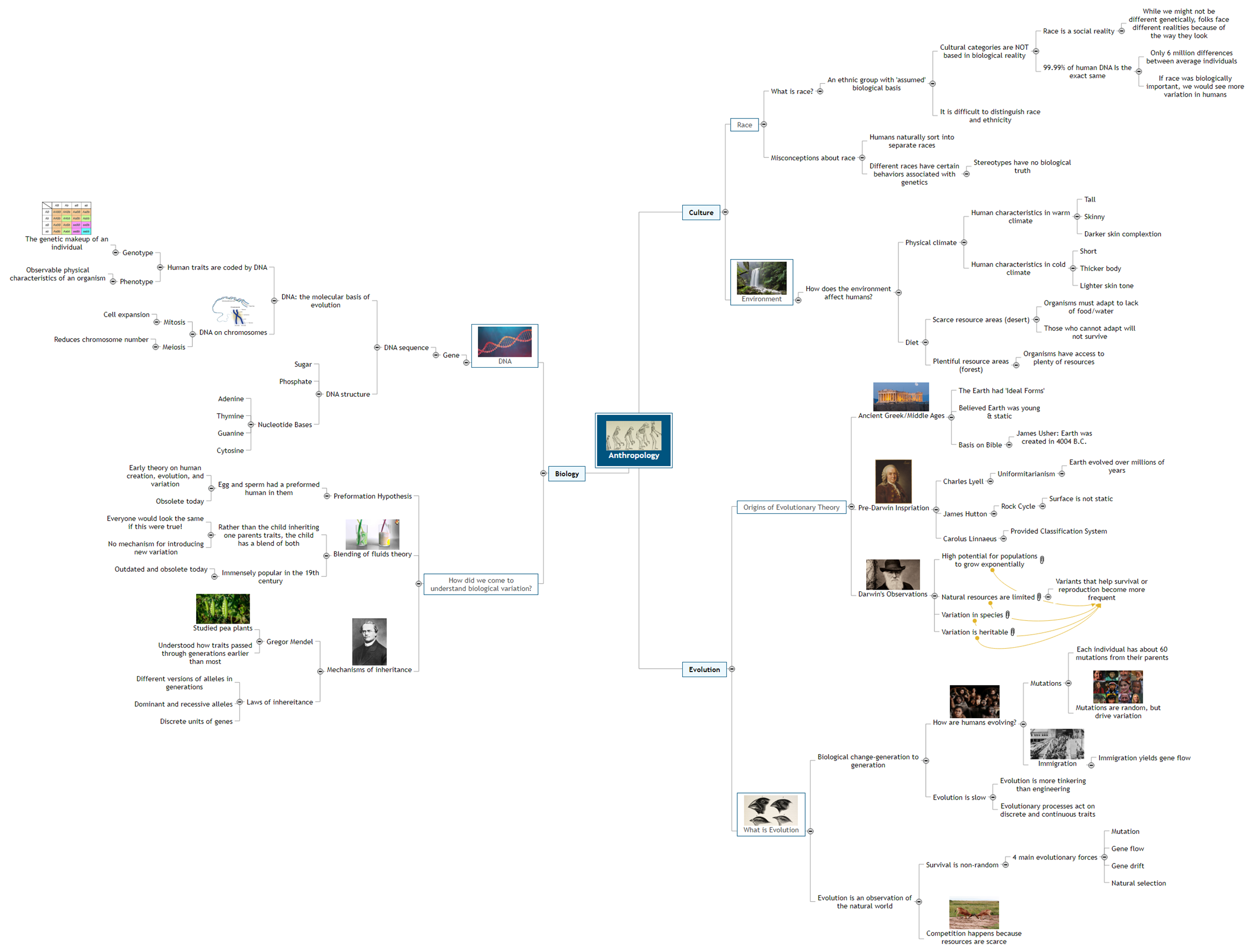 Anthropology 3241 MindView Mind Mapping Software