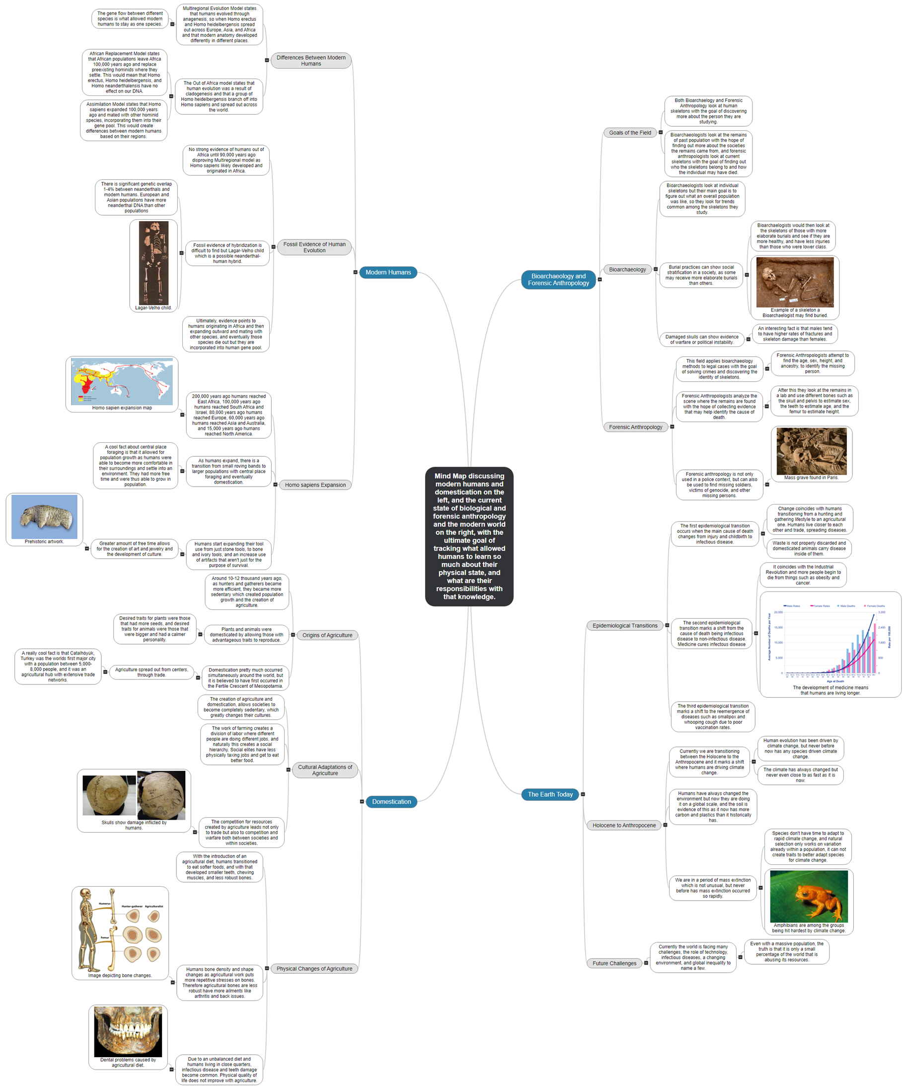 Mind Map discussing modern humans and domestication on the left, and the current state of biological and forensic anthropology and the modern wor Mind Map