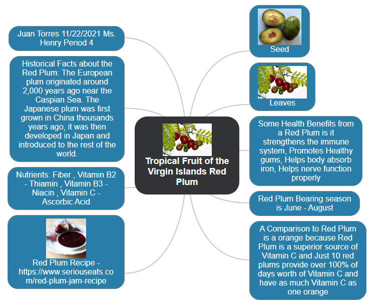 Tropical Fruit of the Virgin Islands Red Plum Mind Map