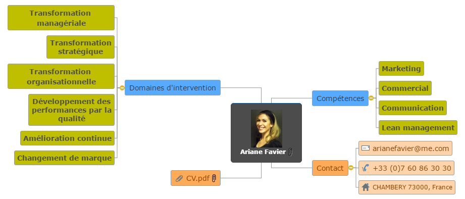 Ariane Favier - Consultante Mind Maps