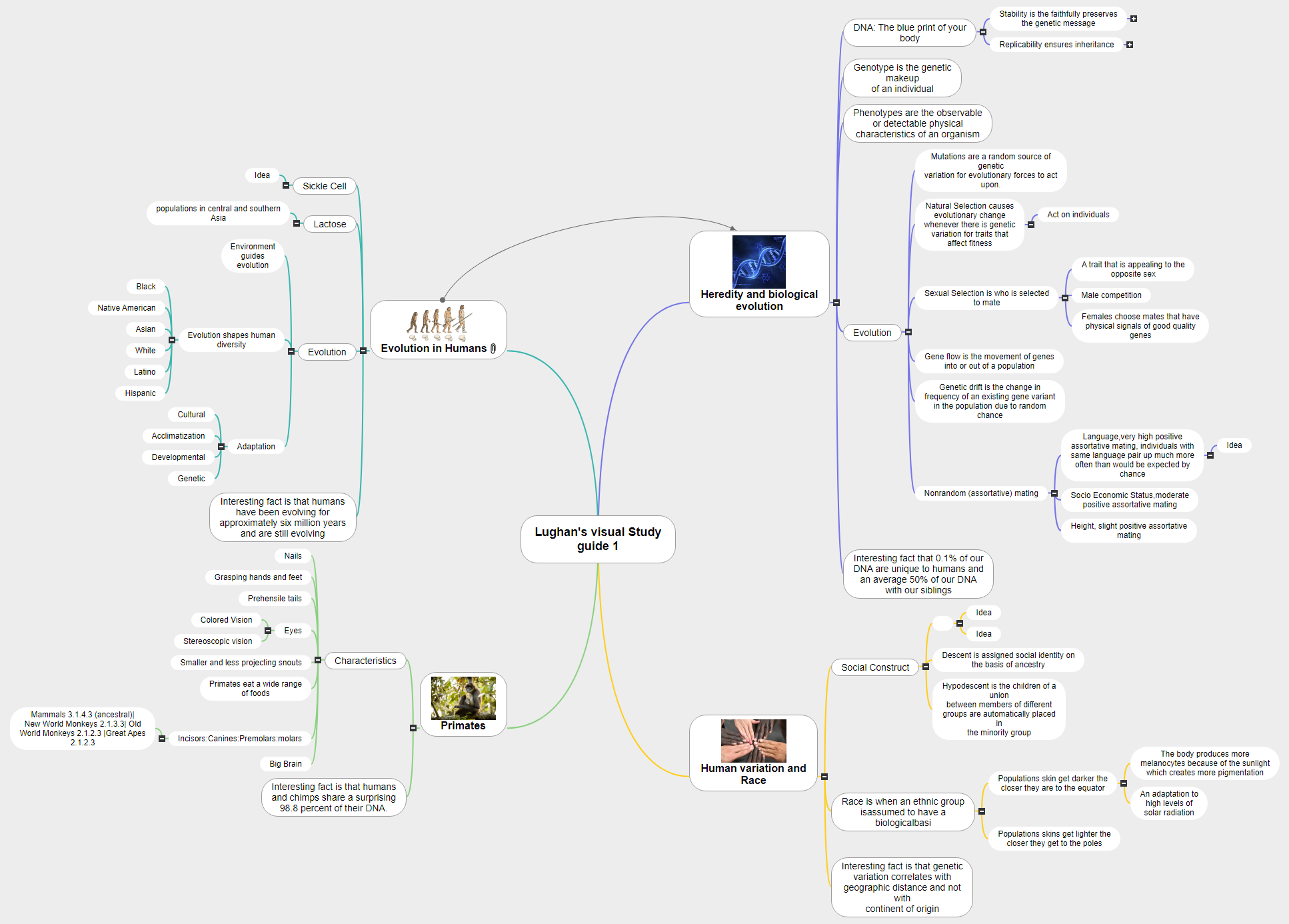 Lughan's visual Study guide 1 Mind Map