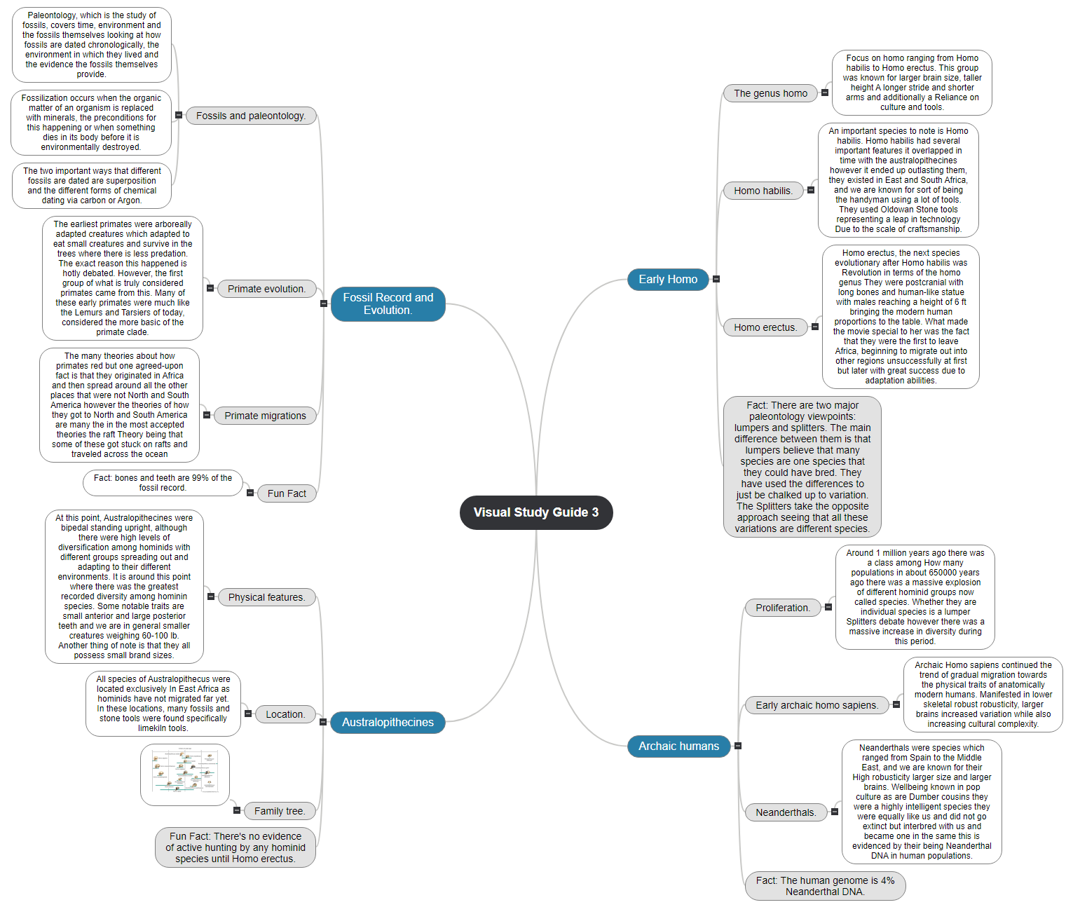 Visual Study Guide 3 Mind Map