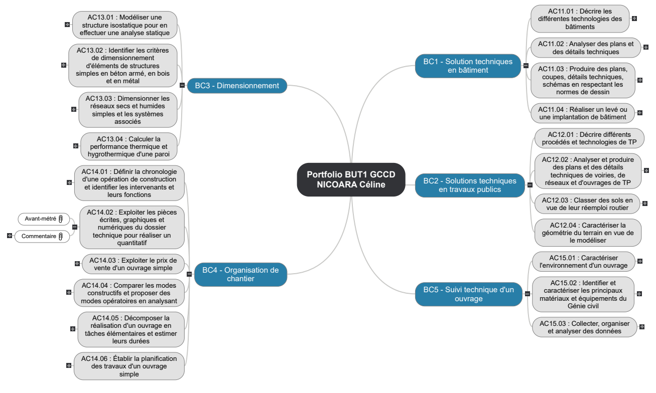 Portfolio BUT1 GCCD NICOARA Céline Mind Maps